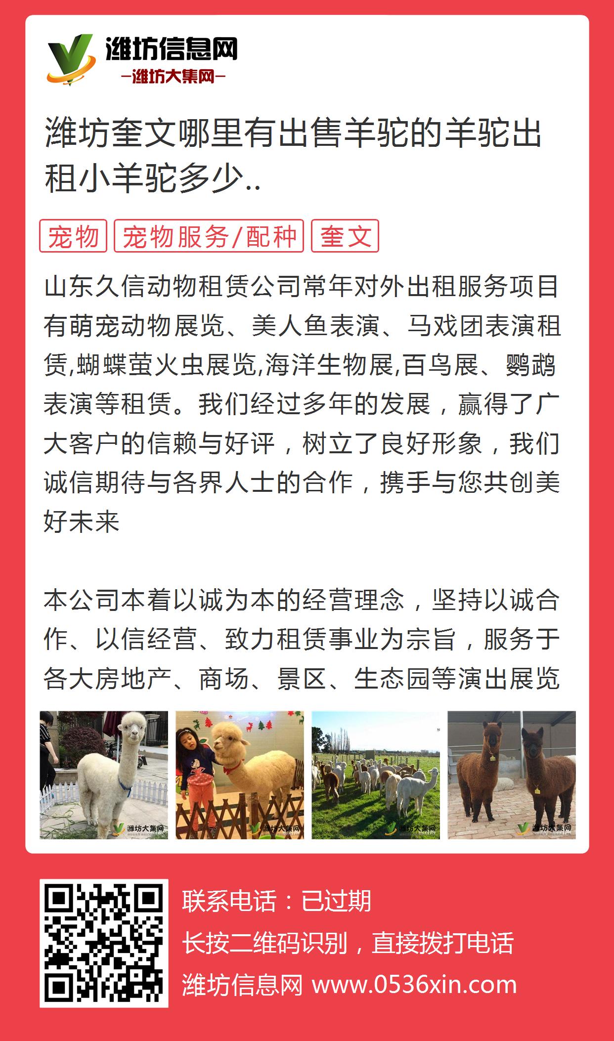 哪里有羊驼出售多少钱一只