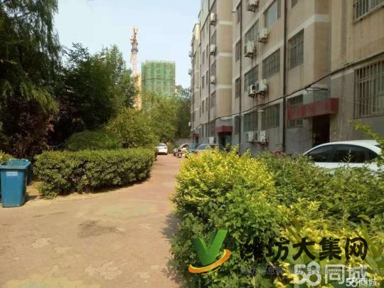 三室两厅一卫,地下室,停车位。公摊面积小