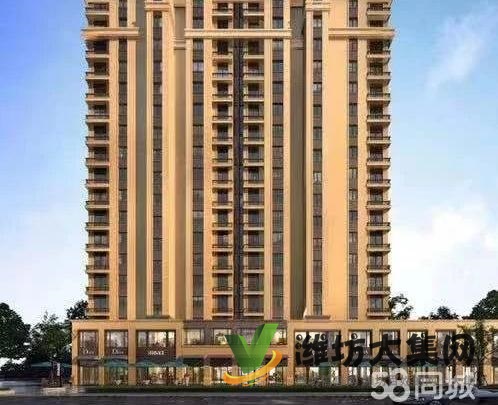 世界500强 央企保利梧桐语 商业街商铺