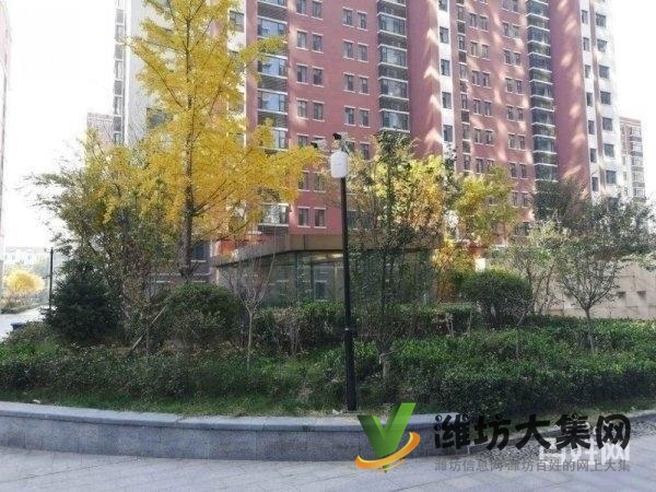 胜利街虞河路 云景台 精装 南向公寓 新房手续