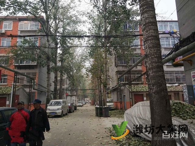 育英中学 潍棉小区 多层两室 中等装修 带厦子出税