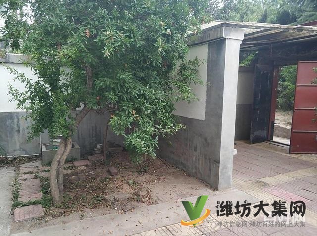 市中心新华* **多层一楼带120平大院子南开门看