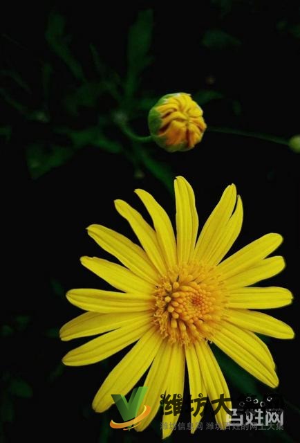 金都家园 首付低 1室2厅 精装好房,楼层好,无税