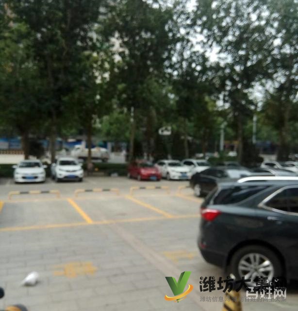 万达九层电梯洋房双商圈三室两厅两卫南北通透132平