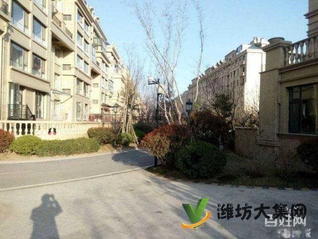 奎文区白浪河畔 高档小区 阳光假日 法式 多层电梯