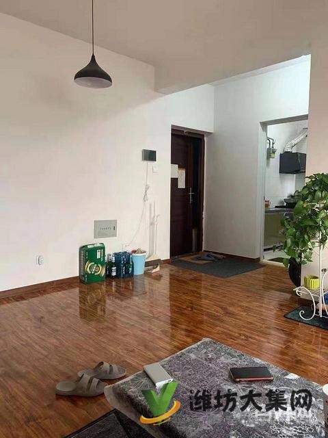 水清木华电梯房精装修,配置全新全配双气供暖,拎包入住1200