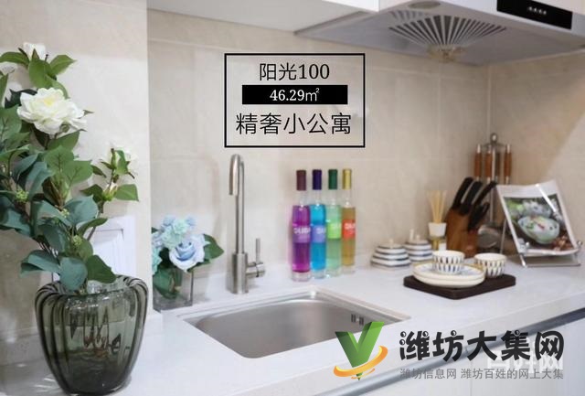 阳光100精装公寓40~60平 样板间开放欢迎品鉴