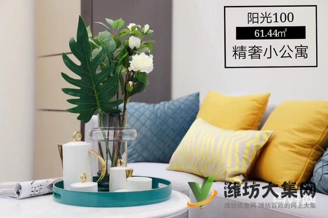 阳光100精装公寓40~60平 样板间开放欢迎品鉴