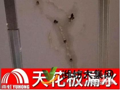 潍坊专业防水补漏、免砸砖技术修复各类防水工程