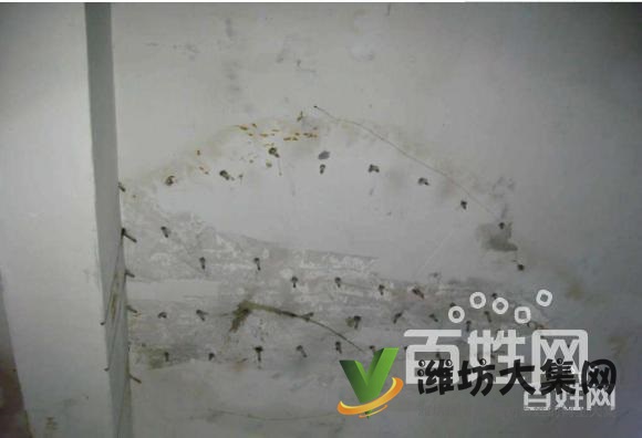 潍坊房子漏水补漏,专业师傅