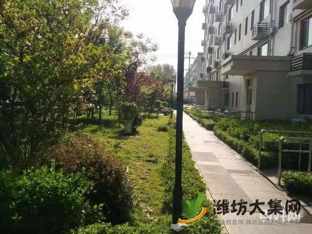 海龙学校 大华中央城和园电梯房 送车库 随意装修