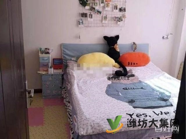 安顺大厦 全新装修 家电齐全 采光好 拎包入住,急