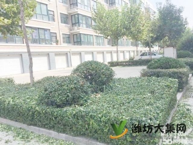 河西学校,香江水岸3楼多层,标准三卧,14年的新房