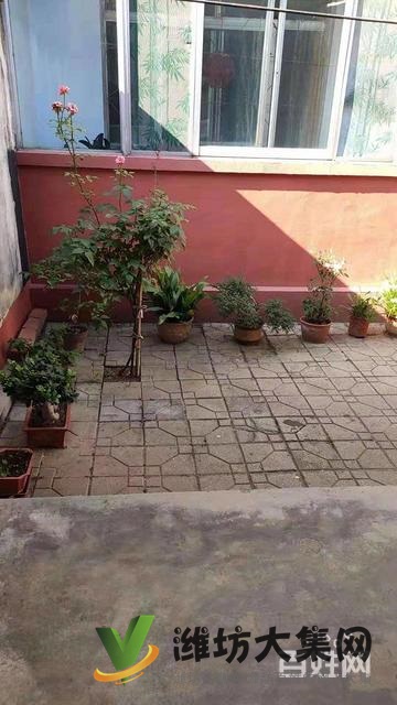 一中老校区计量局家属院一楼带院精装修
