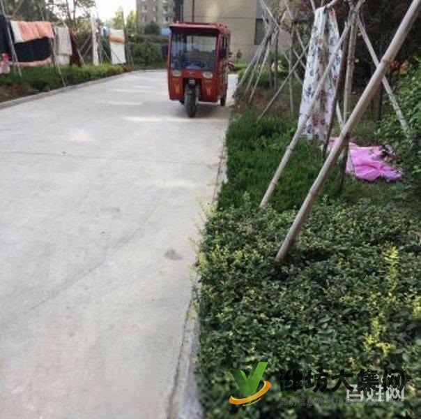 买奥体近大三室，超底价格，视野 开阔，全天采光南北通透