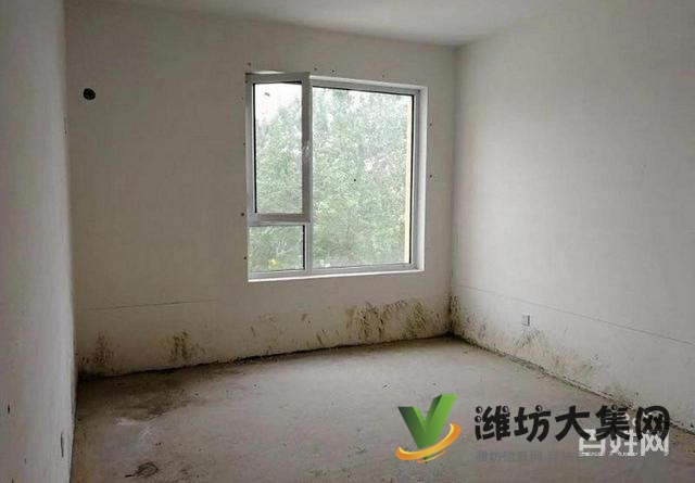 6500一平大平层圣基 金碧广场 193平四室现房