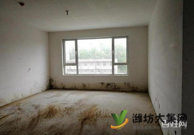 6500一平大平层圣基 金碧广场 193平四室现房