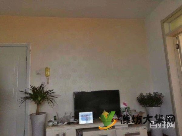 蝶园广场近河西人民 精装两室 首付8万全部办完 有