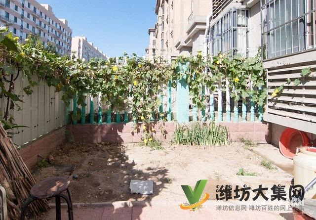 泰华福乐多 金泰名苑 一楼带院 3室小户型 带地下