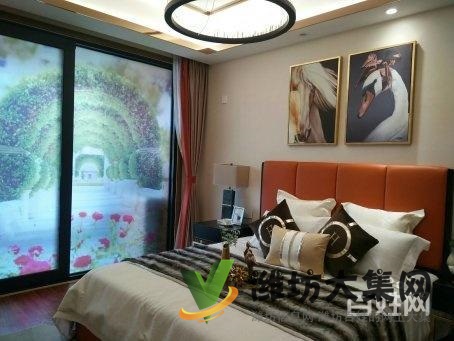 恒信弥水春风 3.1米别墅层高 电梯洋房 只此一套 双阳台顶