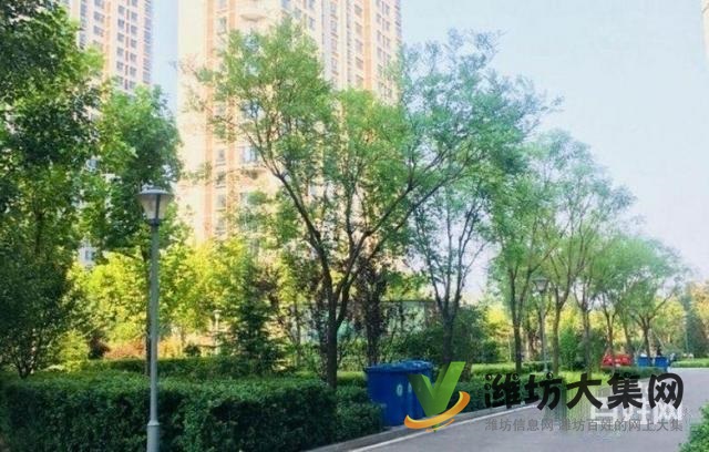 恒信无虚假高新管委会近 高新城市广场,精装未住三室