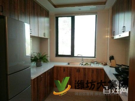 恒信弥水春风 3.1米别墅层高 电梯洋房 只此一套 双阳台顶