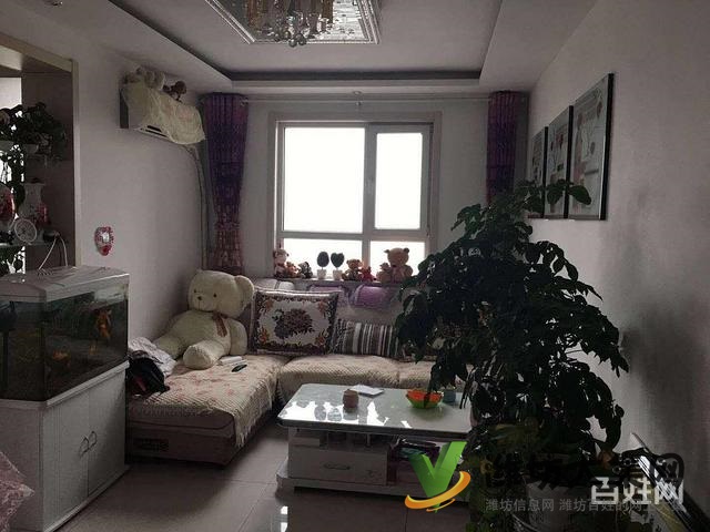 实验* **,带全部家具家电带仓库,图片真实