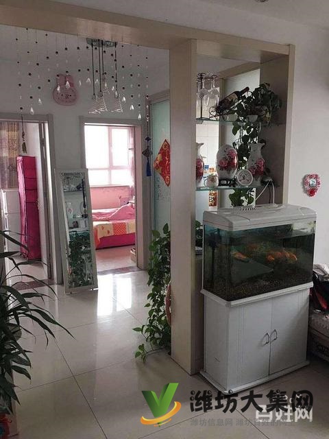 实验* **,带全部家具家电带仓库,图片真实