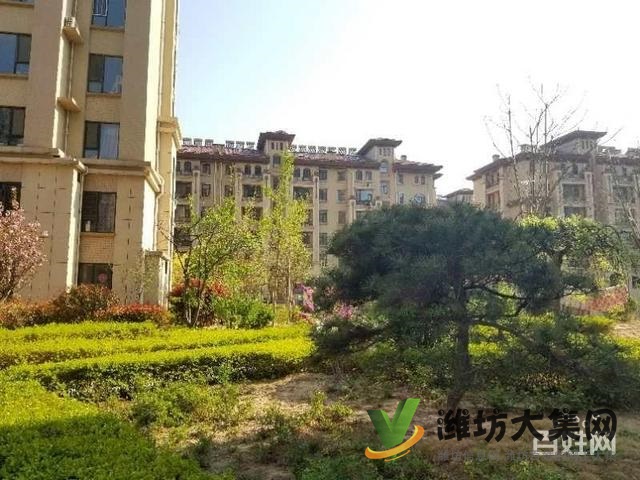 7000多点 现房 多层电梯洋房 标三 潍城核心地