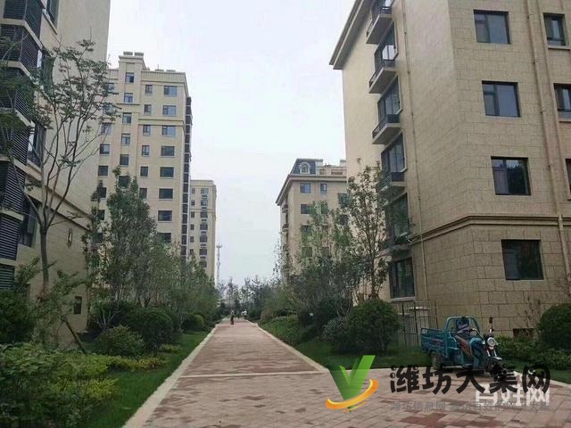 整租,圣基金碧广场 2室85平挑高客厅 宽敞大气 双气供暖