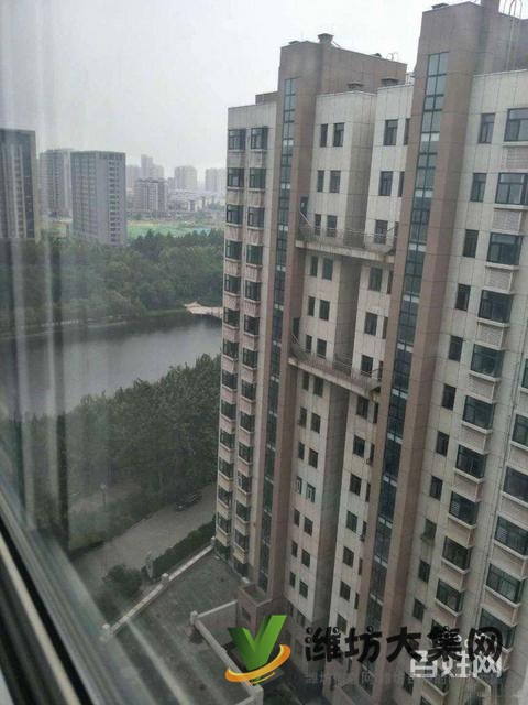 虞河畔植物园近,阳光御苑,新华中学學区房 采光好