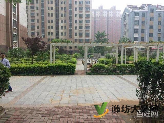 虞河畔植物园近,阳光御苑,新华中学學区房 采光好