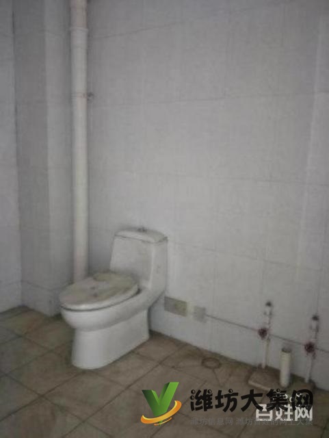 大华中央城大产权阁楼一手房手续H户型南北通透包更名