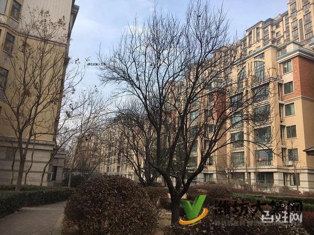 鲁发名城,3居室2厅,精装修短住保养好,真实图片和