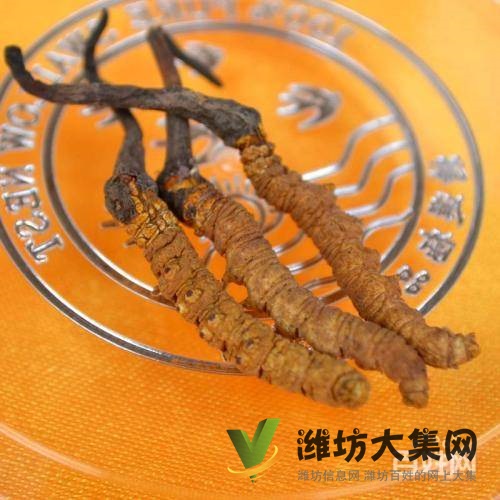 潍坊回收茅台酒,回收五粮液,回收老酒,礼品回收洋酒