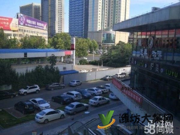 新华路丹桂里金街沿街带租约出售精装修 有随时过户