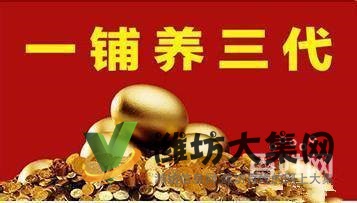 投入少,风险低,即买即分红!