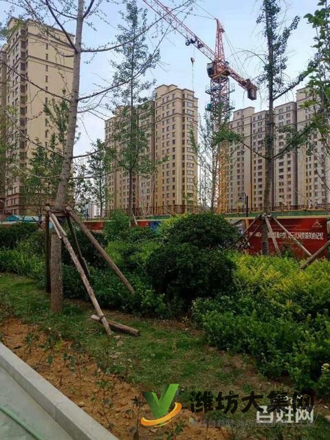 潍城区政府近 三室好房源 4680每平 不分楼层