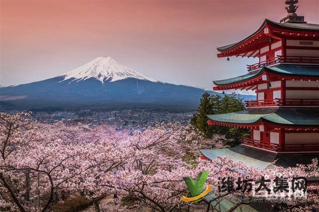 潍坊日语兴趣班,找潍坊和声日语