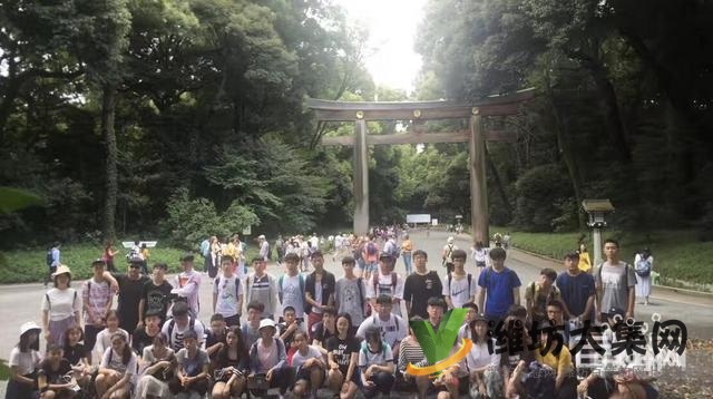 潍坊日语辅导班那个培训机构好√人寿年丰