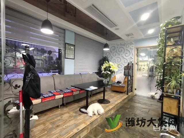 一诺宠物美容师培训学校,免费试学,让你赢在起跑线