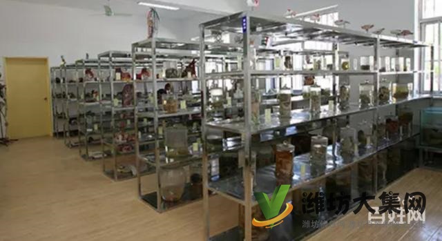 推荐:潍坊时代医护学院一个不错的学校