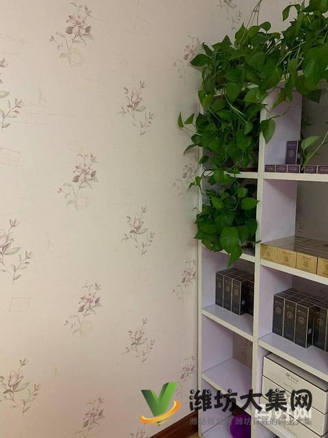 (快租免费寻址)奎文区健康街虞河路旺铺出租