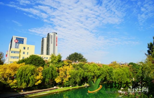 阳光100凤凰社四室两厅两卫住宅164平南北通透