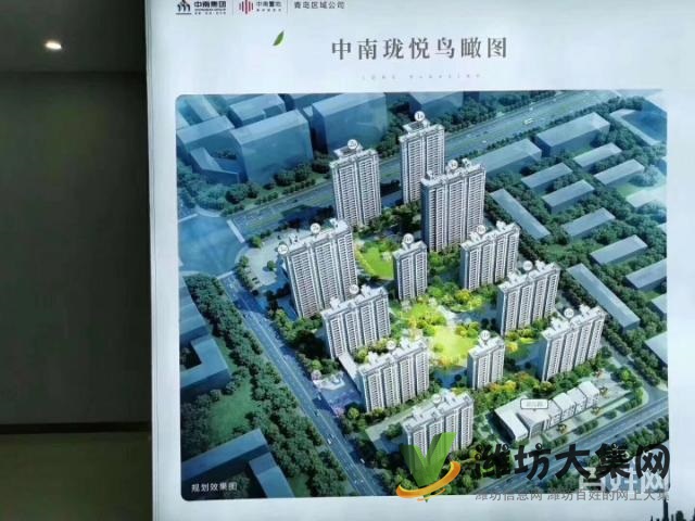 锦文学校一路之隔中南珑悦高端楼盘火爆预约品鉴顶