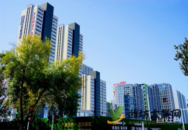 阳光100凤凰社四室两厅两卫住宅164平南北通透