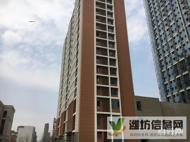 上城佳乐家南邻!金都世家电梯洋房4室两厅毛坯带地下