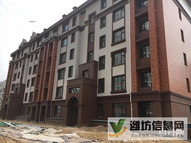 上城佳乐家南邻!金都世家电梯洋房4室两厅毛坯带地下