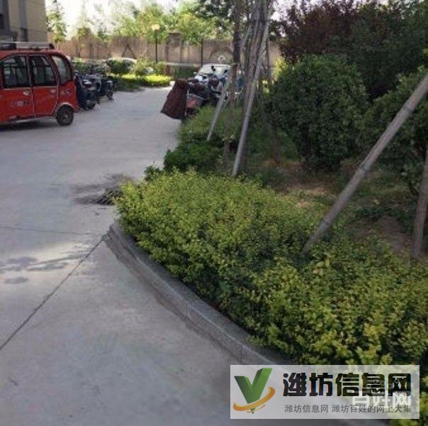 买奥体近大三室,超底价格,视野 开阔,全天采光南北通透