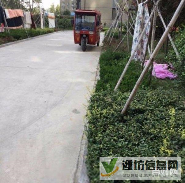 买奥体近大三室,超底价格,视野 开阔,全天采光南北通透